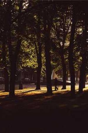 高清畫(huà)質(zhì)