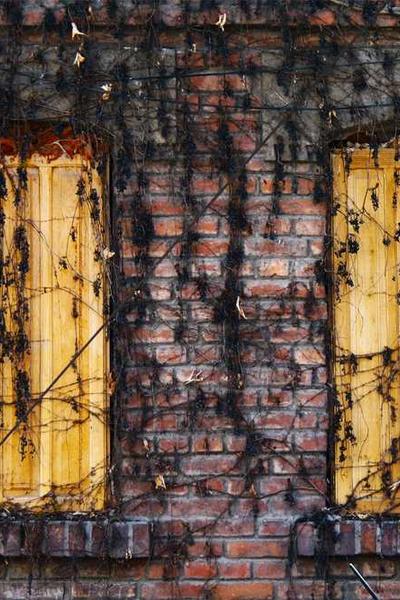 日式PPT設(shè)計(jì)的美學(xué)原則